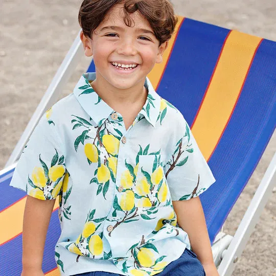 Blue Rooster Boys Jack Shirt - Lemon Branch