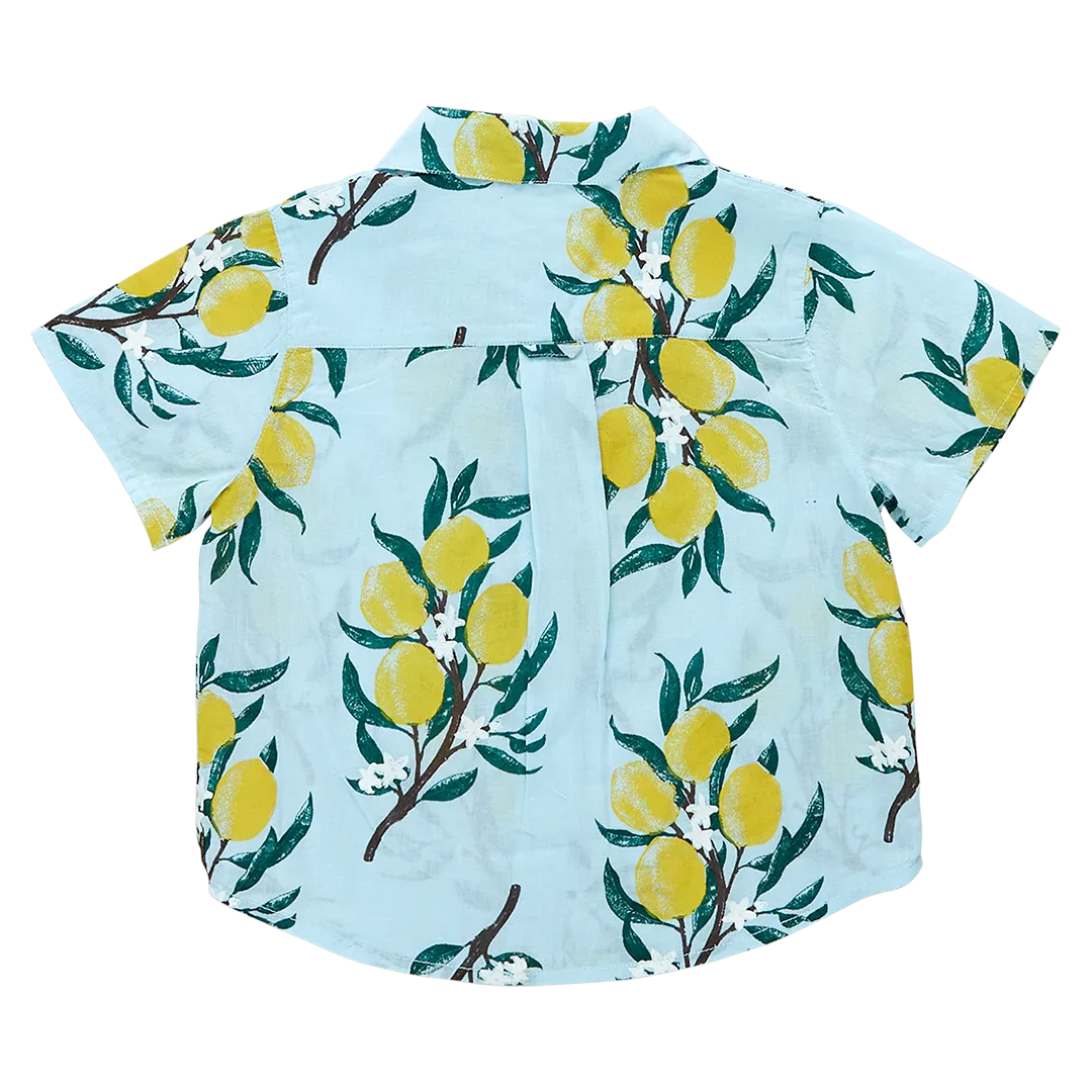 Blue Rooster Boys Jack Shirt - Lemon Branch
