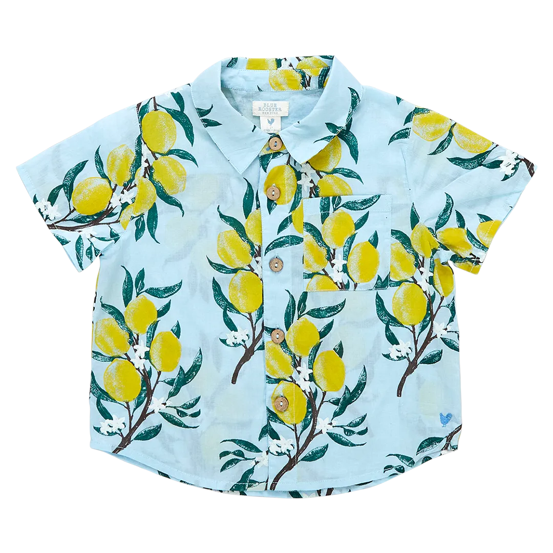 Blue Rooster Boys Jack Shirt - Lemon Branch