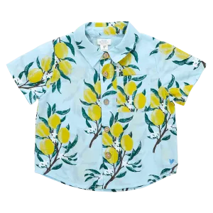 Blue Rooster Boys Jack Shirt - Lemon Branch
