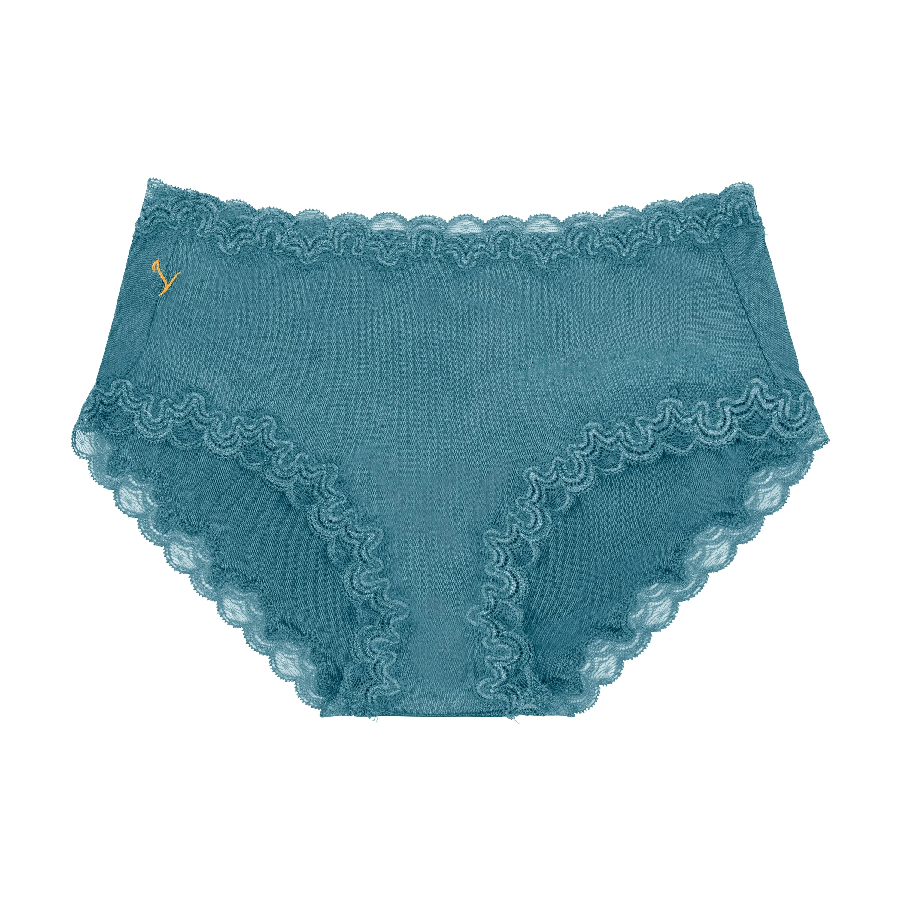 Bright Soft Silk Briefs