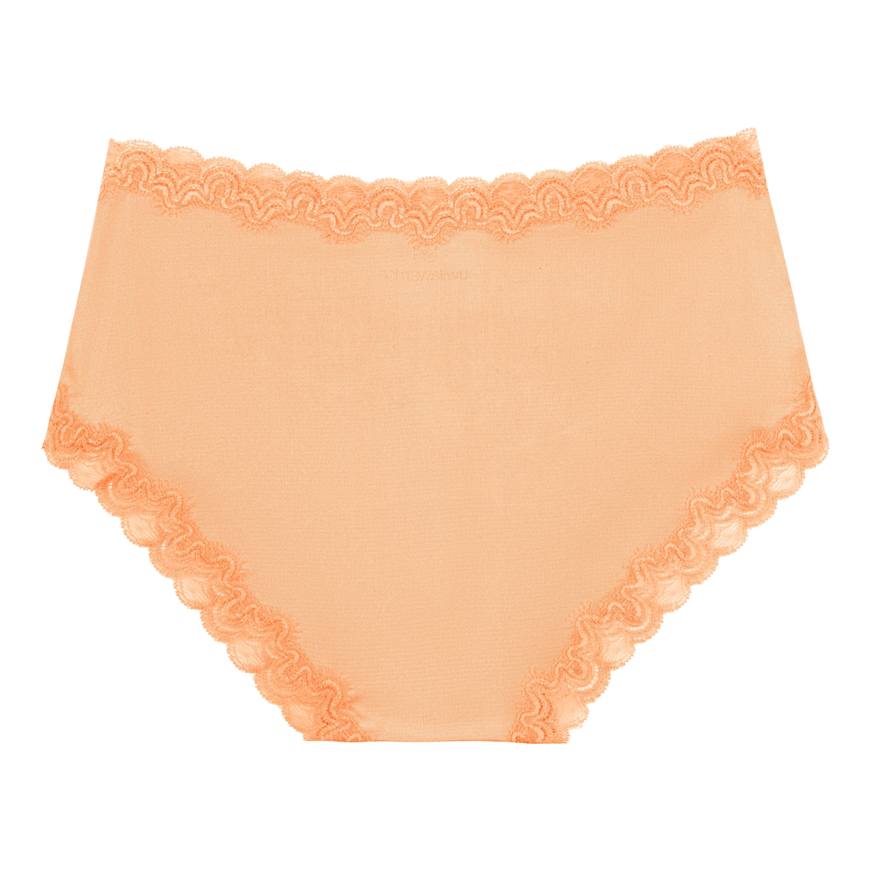 Bright Soft Silk Briefs