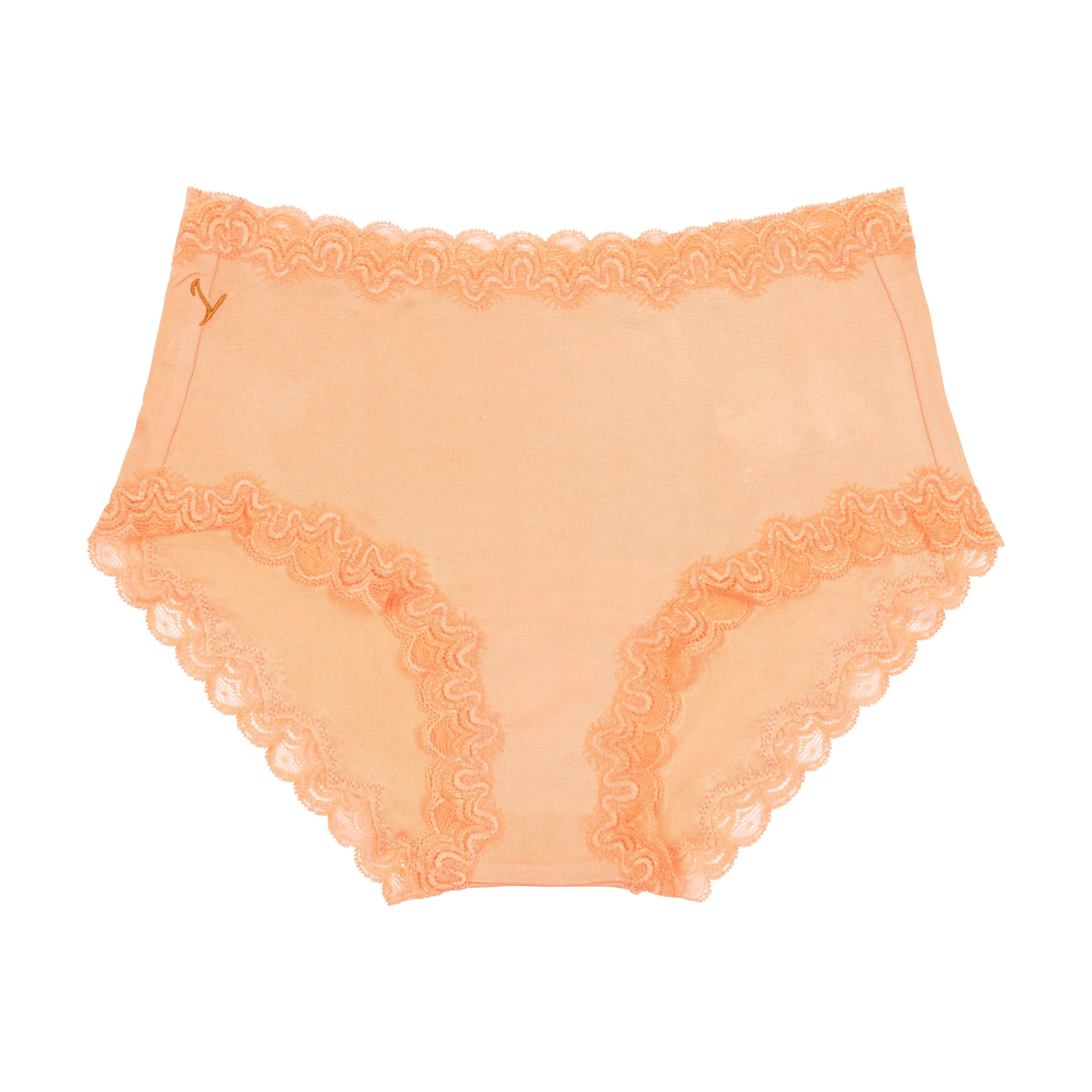 Bright Soft Silk Briefs