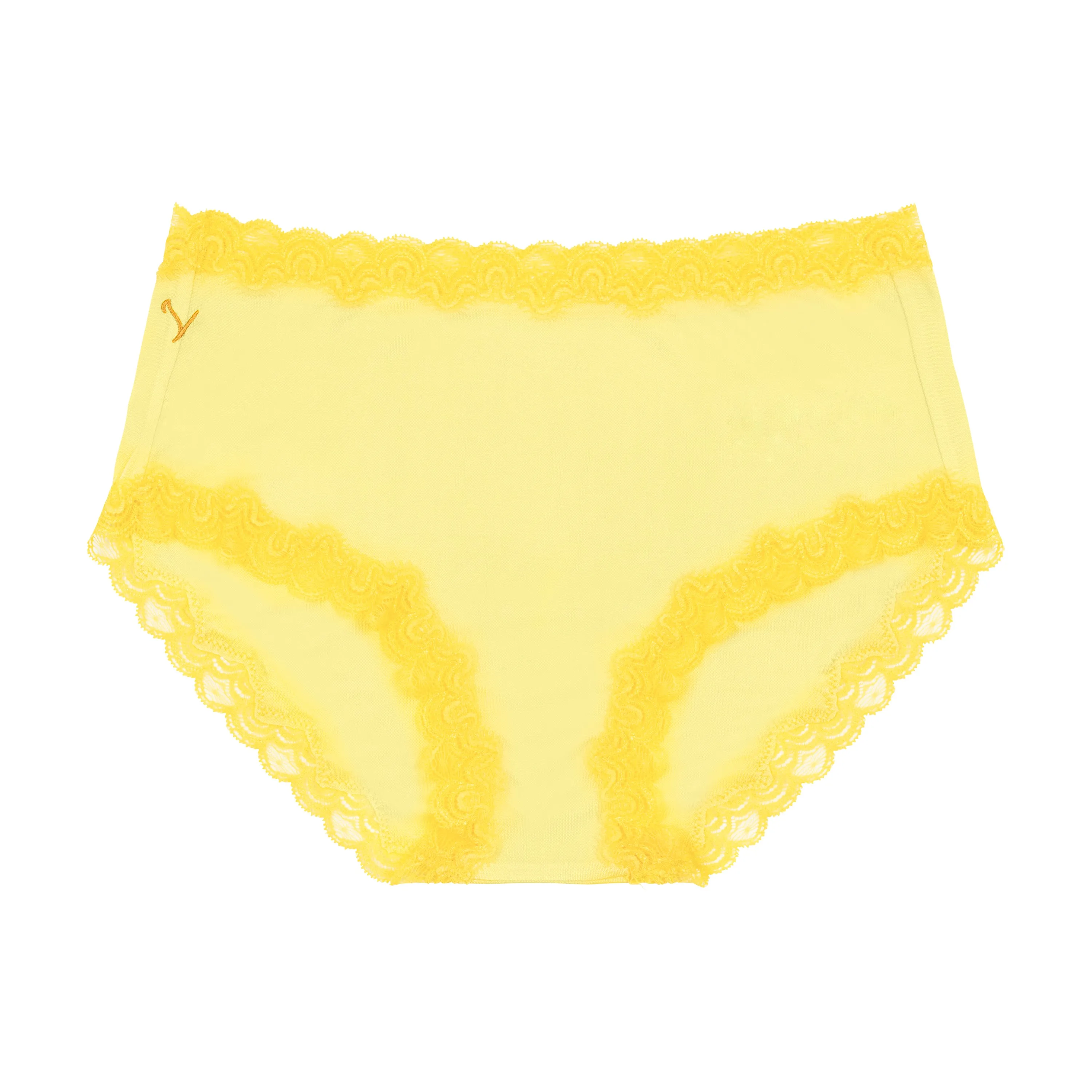 Bright Soft Silk Briefs