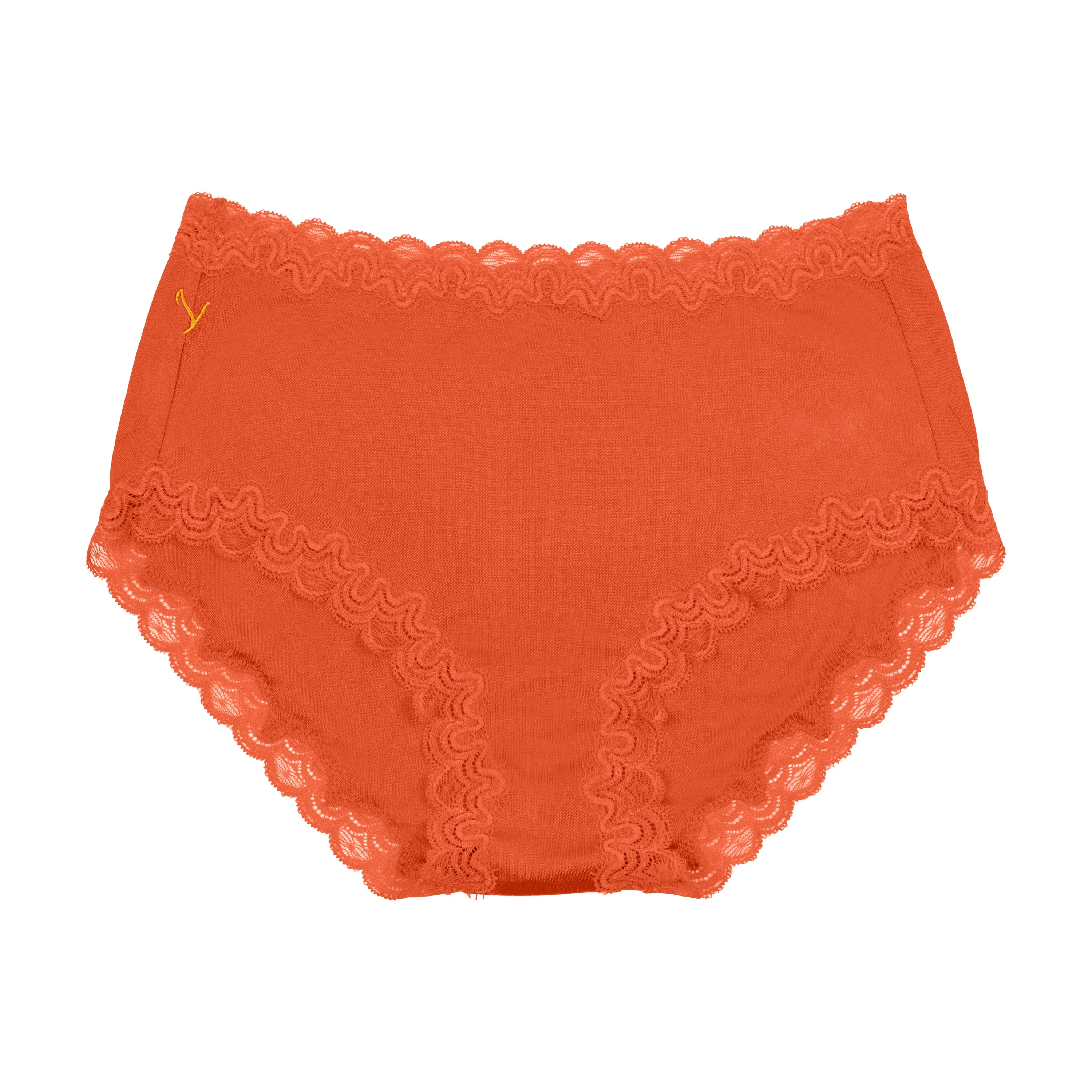 Bright Soft Silk Briefs