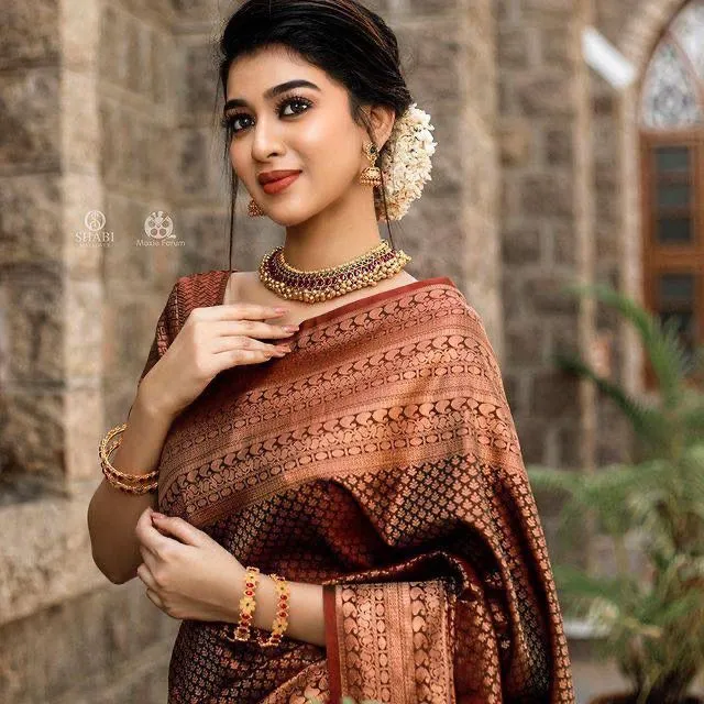 Brown Banarasi Soft Silk Saree With Blouse