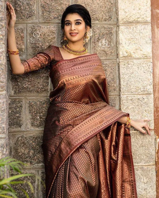 Brown Banarasi Soft Silk Saree With Blouse