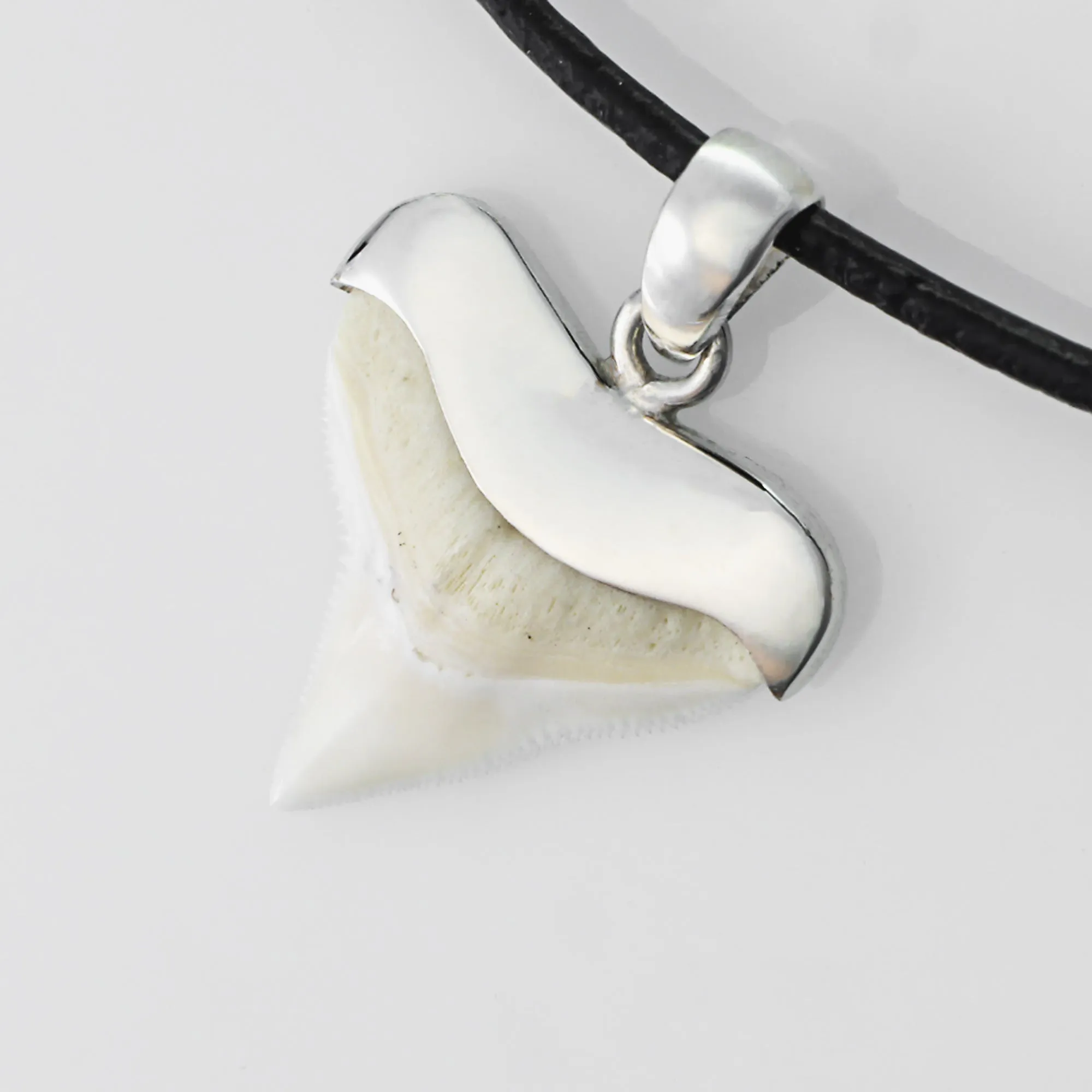 Bull Shark Tooth Necklace s17