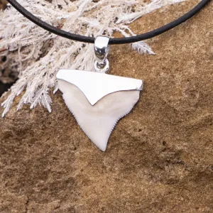 Bull Shark Tooth Necklace s9