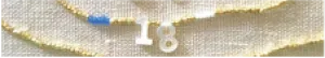 Choker Necklace with Number