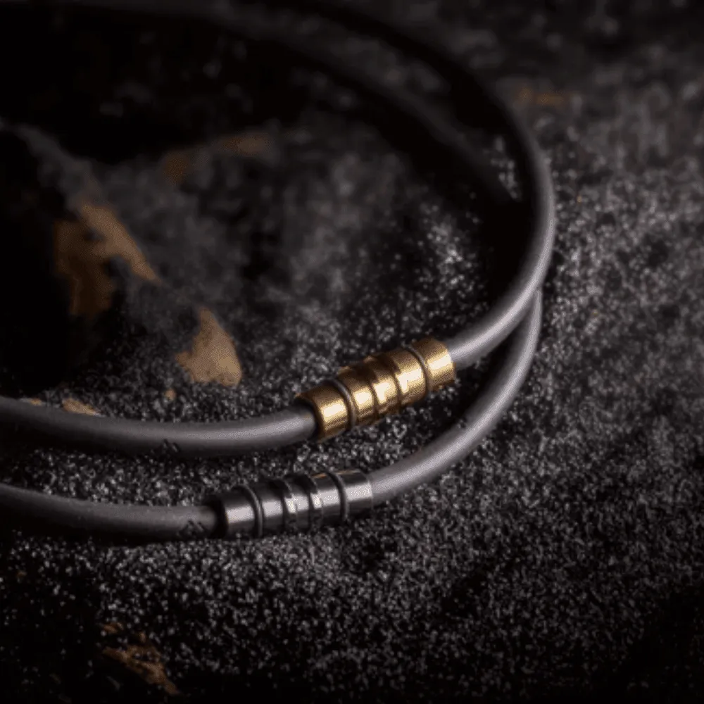 Colantotte Premium Crest Magnetic Necklace
