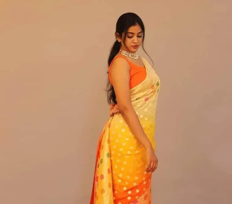 Designer Banarasi  Georgette Chiffon - Silk Saree with meenakari work
