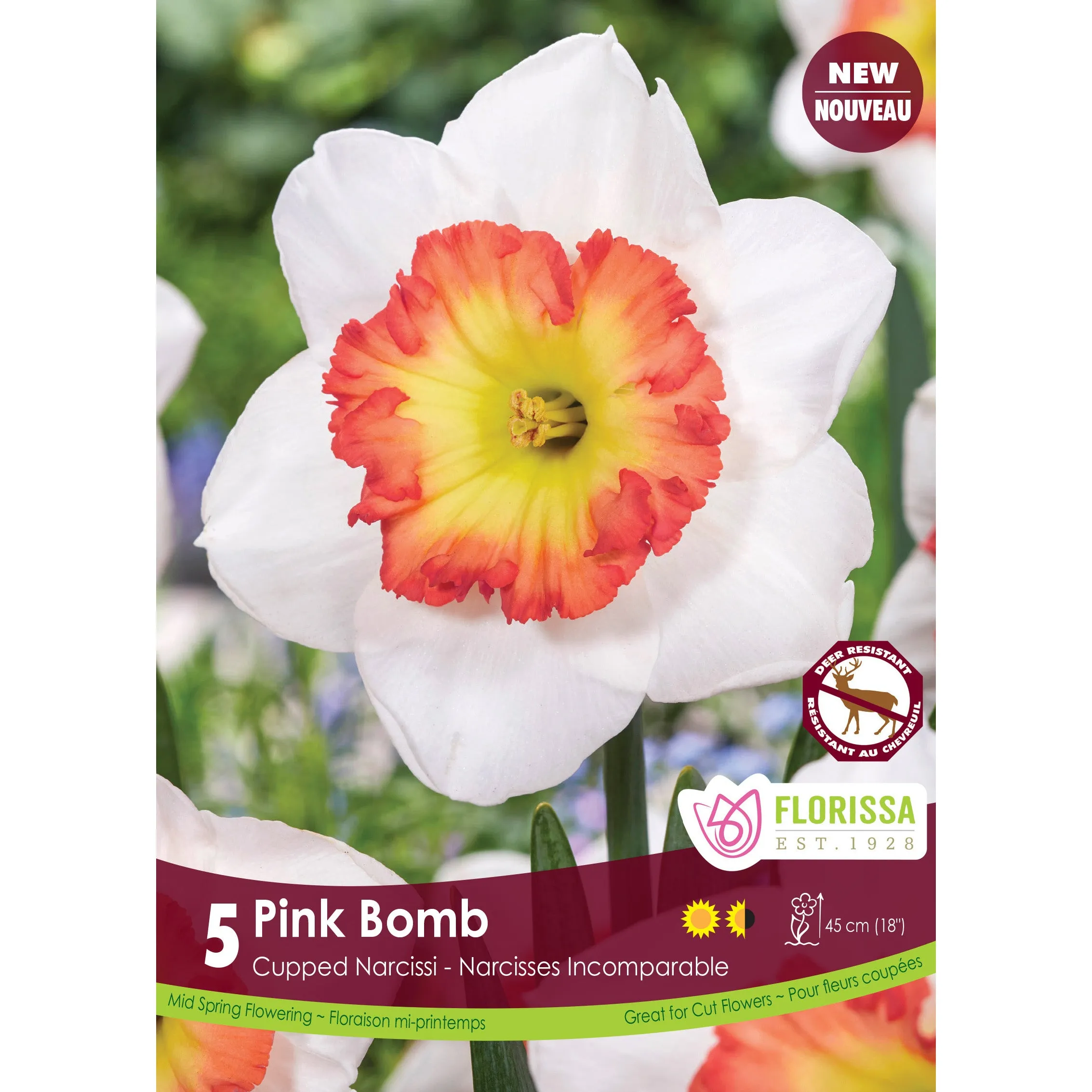 Florissa Narcissus 'Pink Bomb' - 5 Bulbs/Pkg