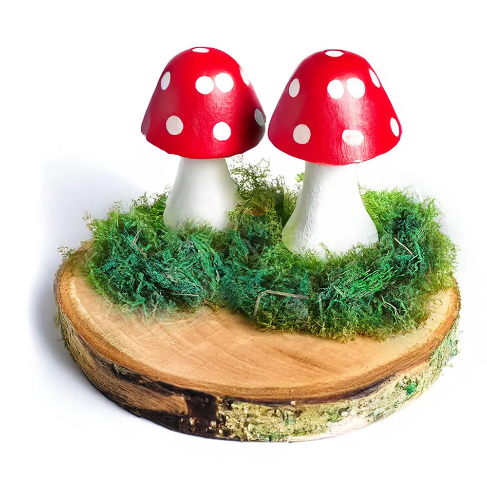 Forest School - Natural Woodland Kit