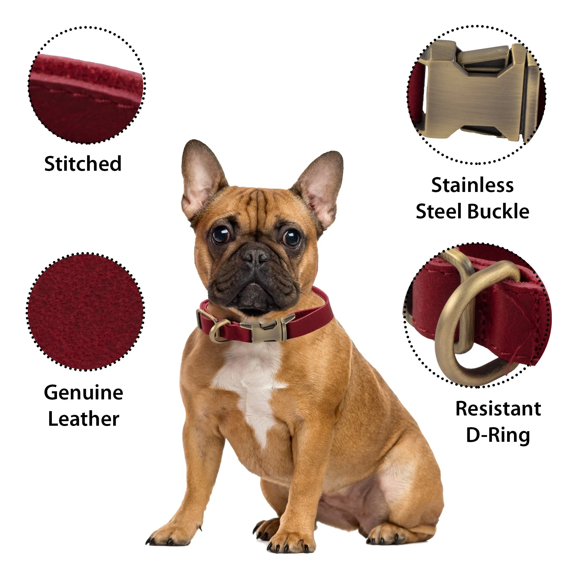 Genuine Leather Adjustable Strong Dog Collar