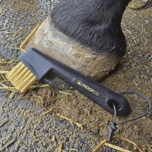 Hoof Pick with Golden Wire Bristles