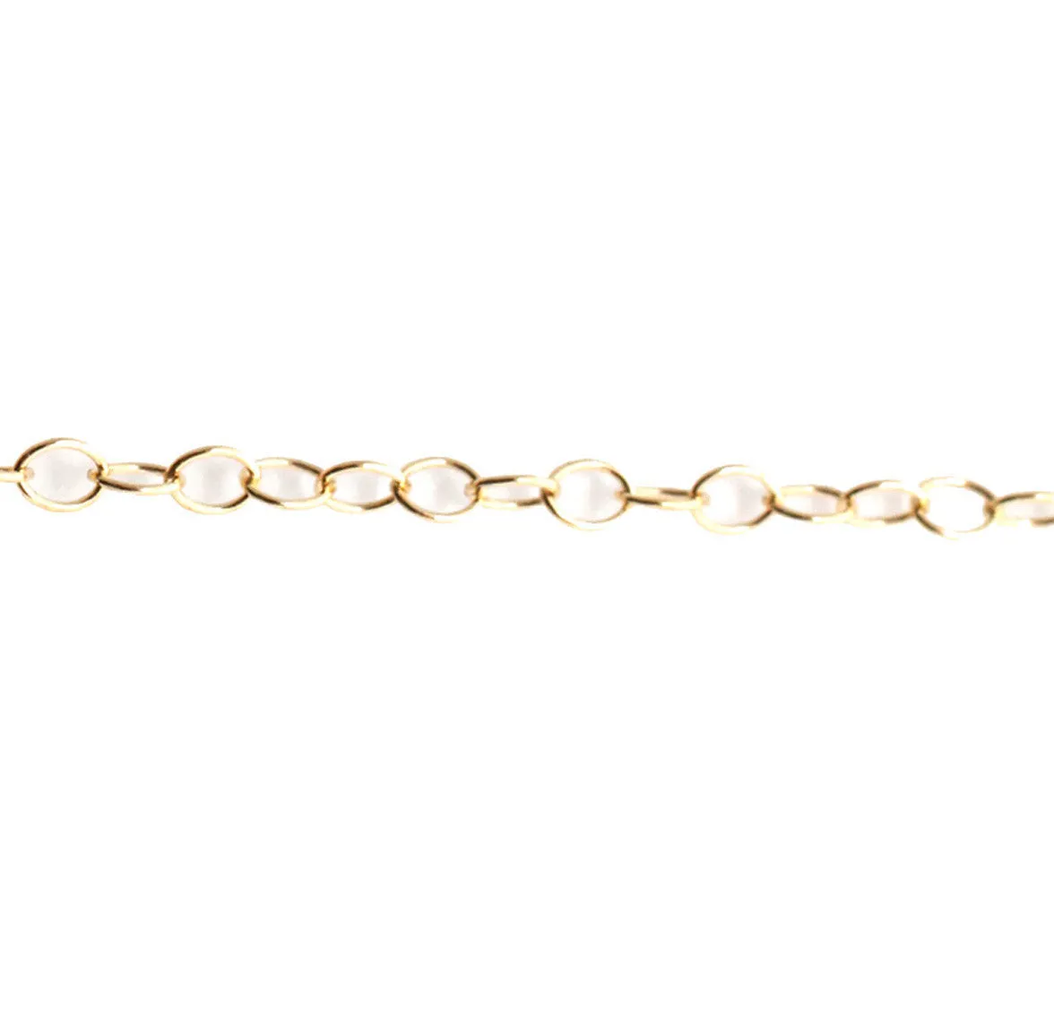 Horseshoe Necklace