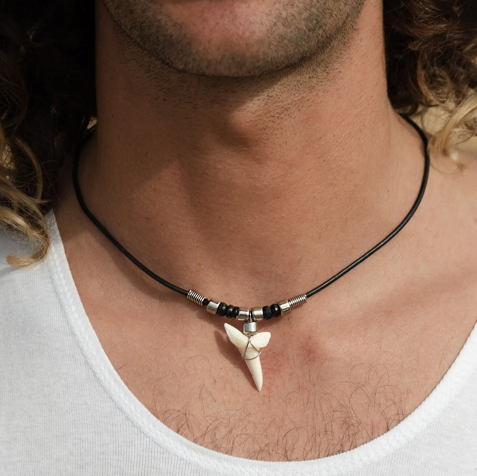 Large Mako shark teeth jewellery Australian company c189