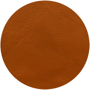 Leather Dye Paint Bridle