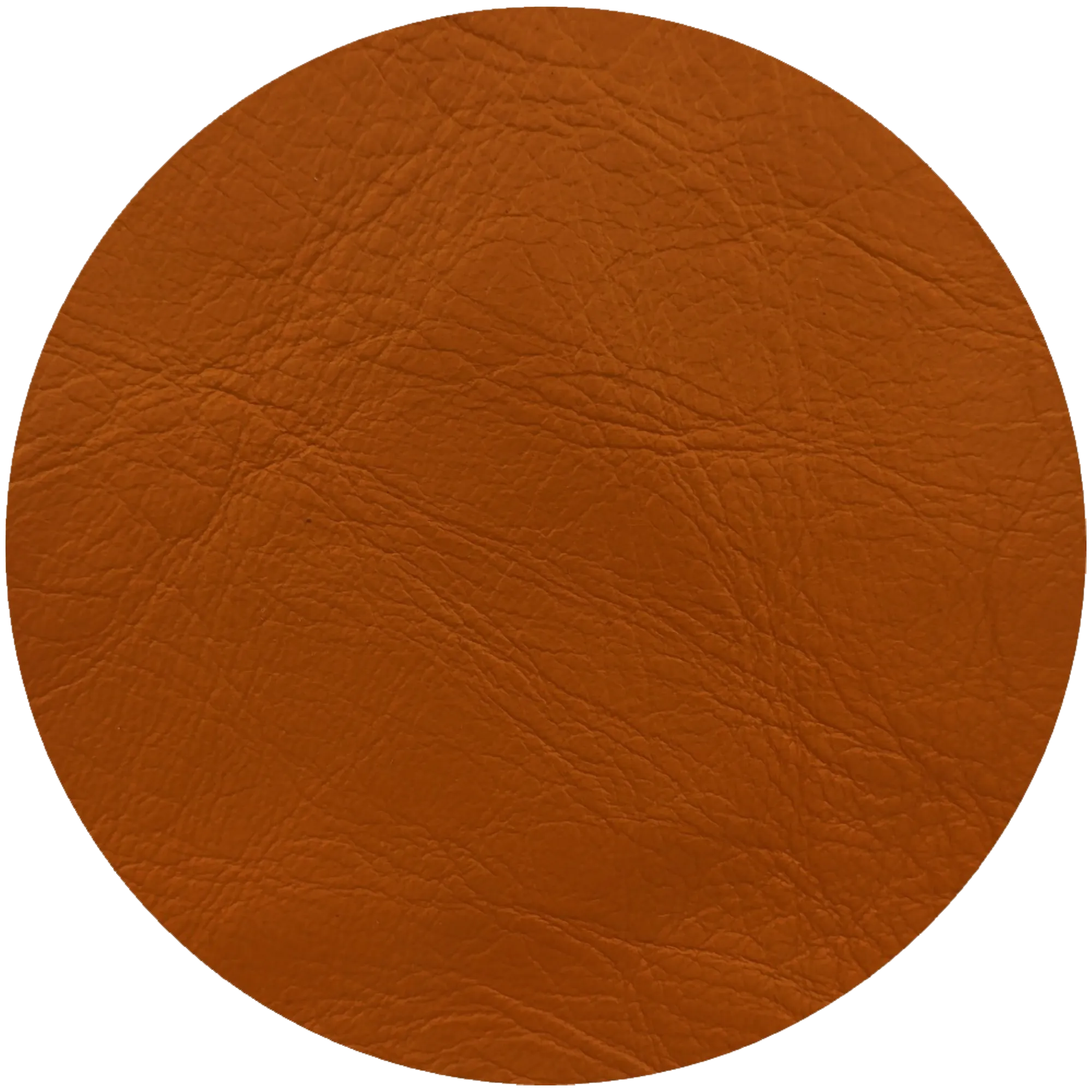 Leather Dye Paint Bridle