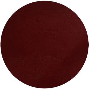 Leather Dye Paint Shiraz
