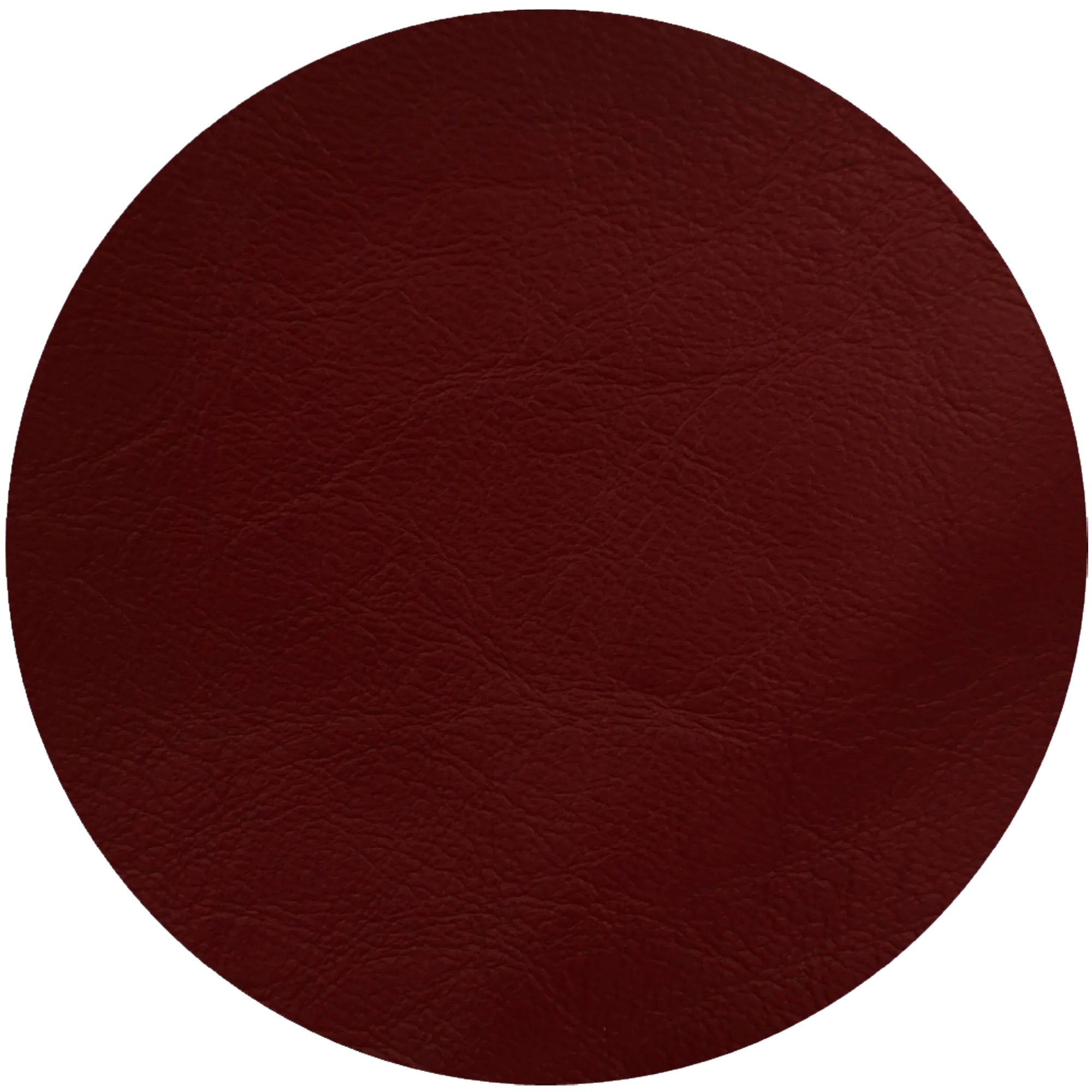 Leather Dye Paint Shiraz
