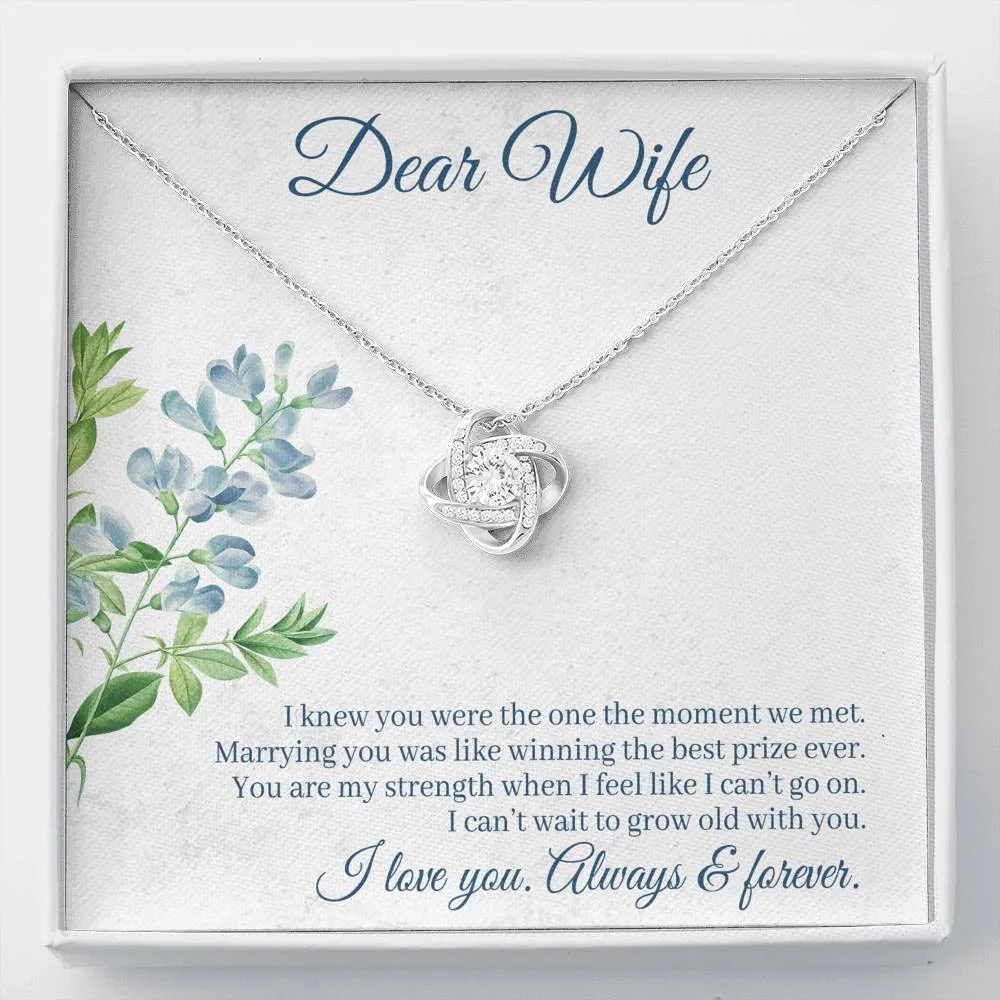 Marrying you was like winning the best prize-Love Knot Necklace for Wife