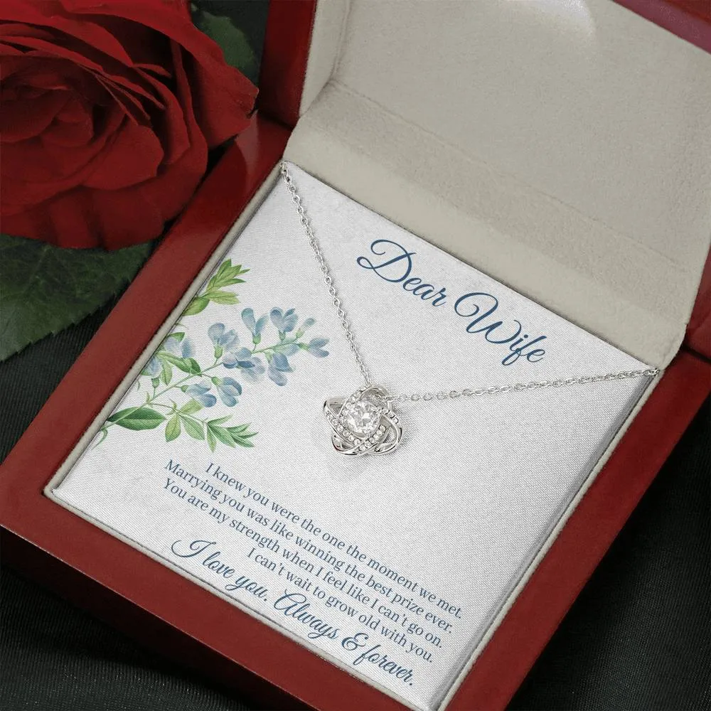 Marrying you was like winning the best prize-Love Knot Necklace for Wife