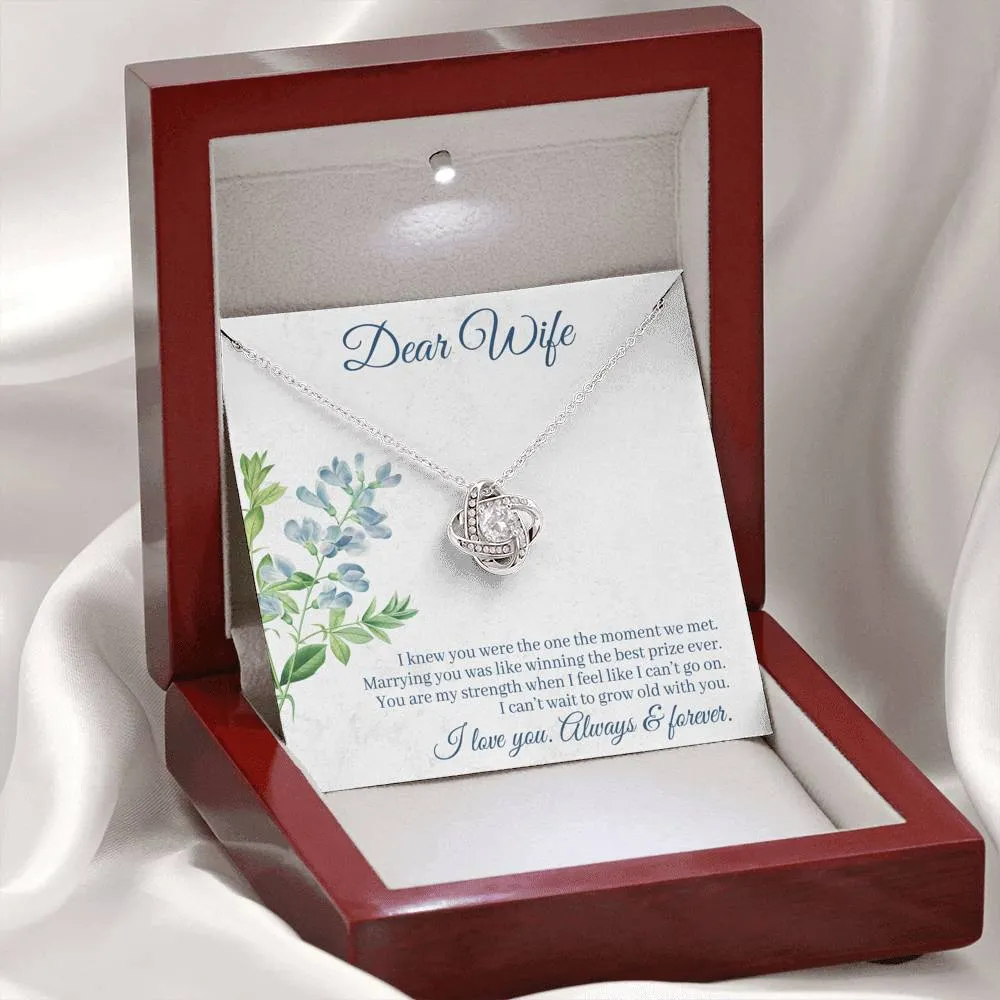 Marrying you was like winning the best prize-Love Knot Necklace for Wife