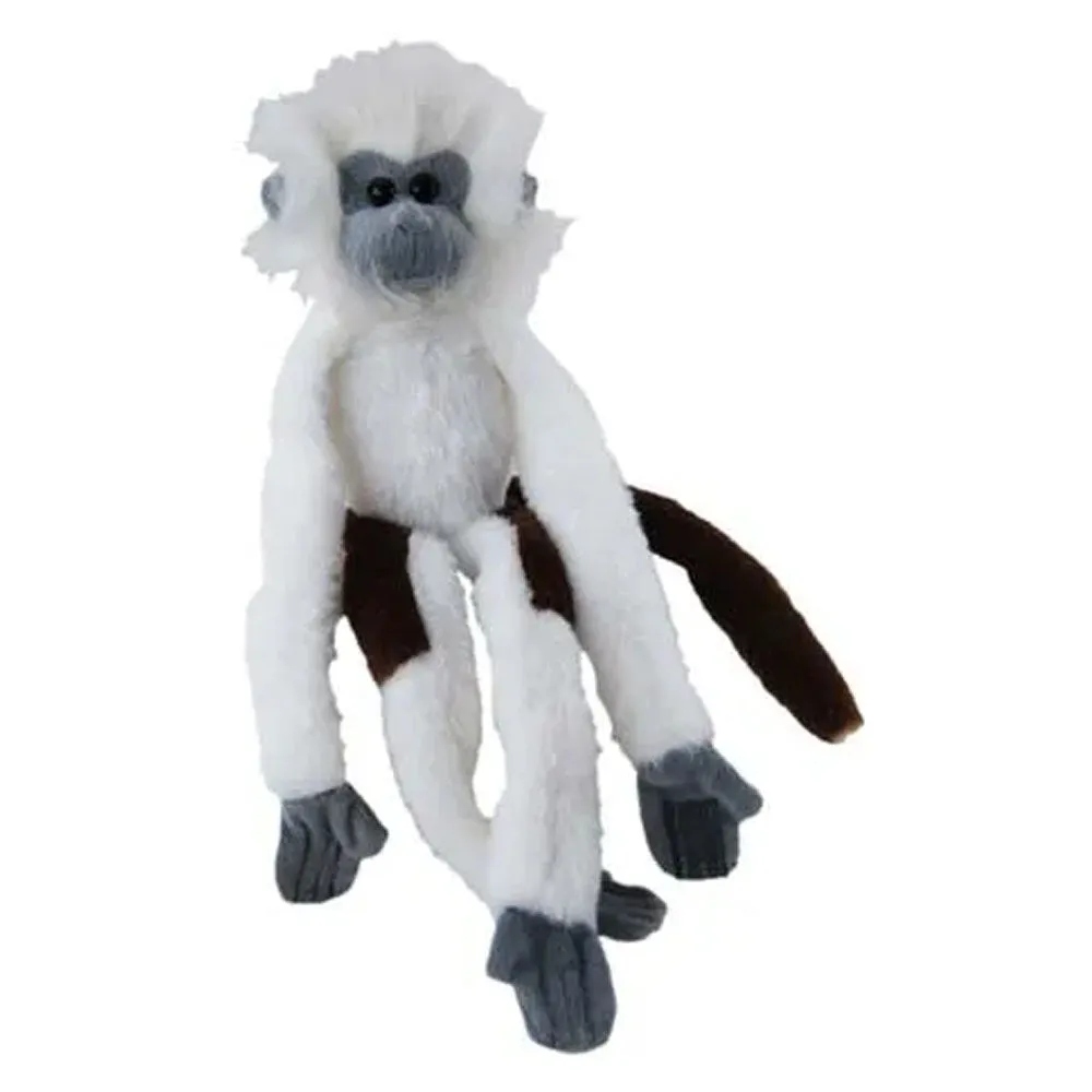 Monkey Longlegs White Cotton Top