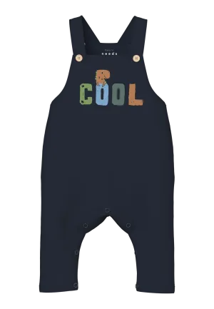 NAME IT | Baby Boy Dungarees
