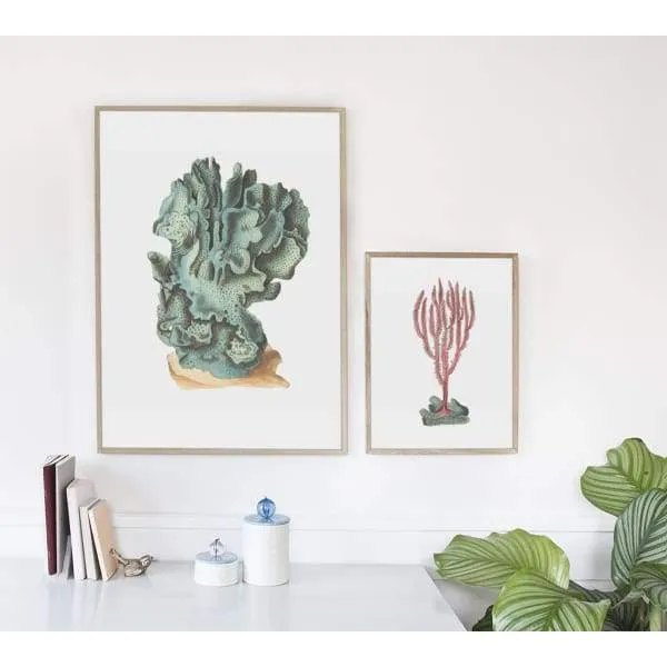 Nantucket | Set of 2 coral prints