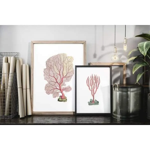 Nantucket | Set of 2 coral prints