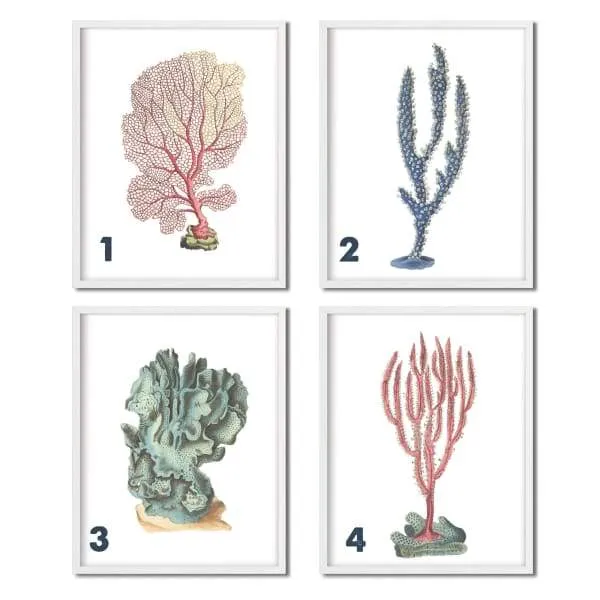 Nantucket | Set of 2 coral prints