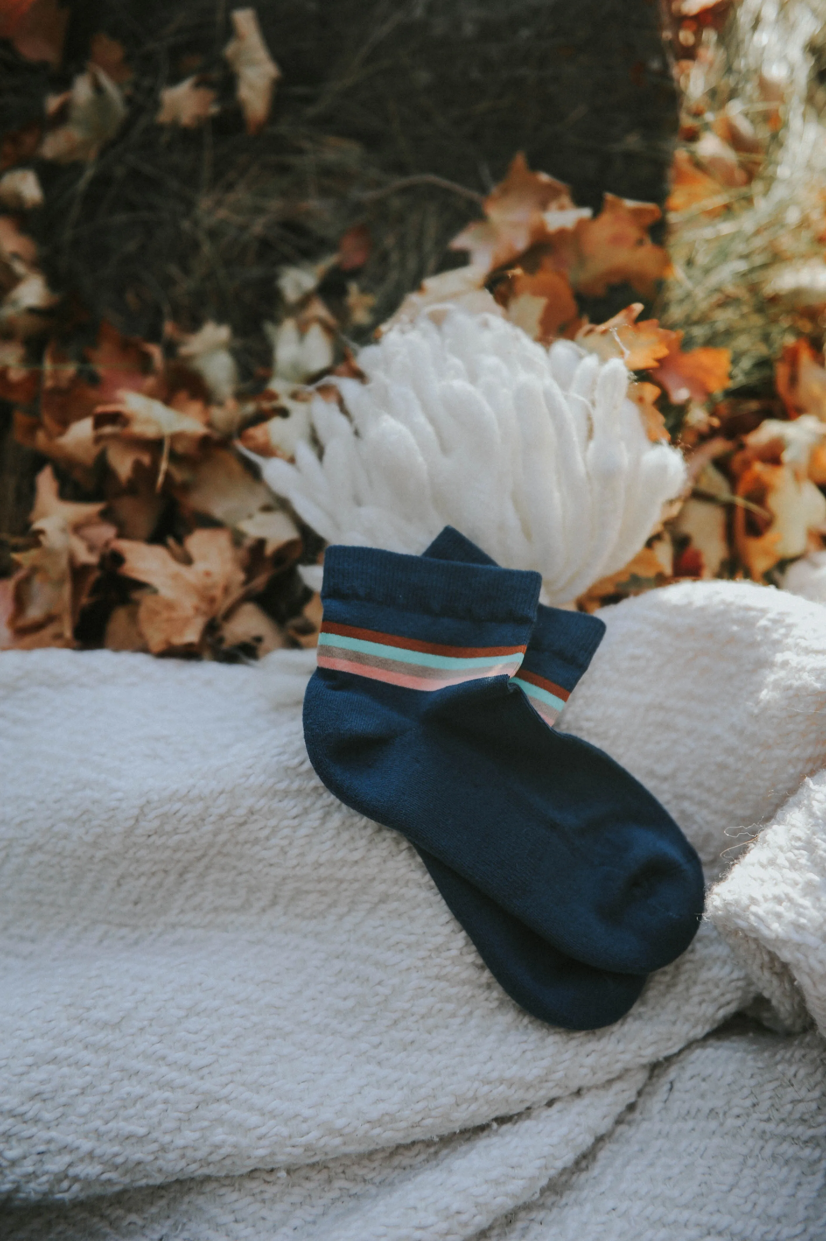 Navy Retro Stripe Shorty