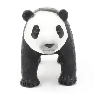 Panda Bear