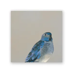 Parakeet 6x6 Wooden Panel