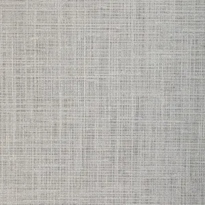 Soft Lights-Dove