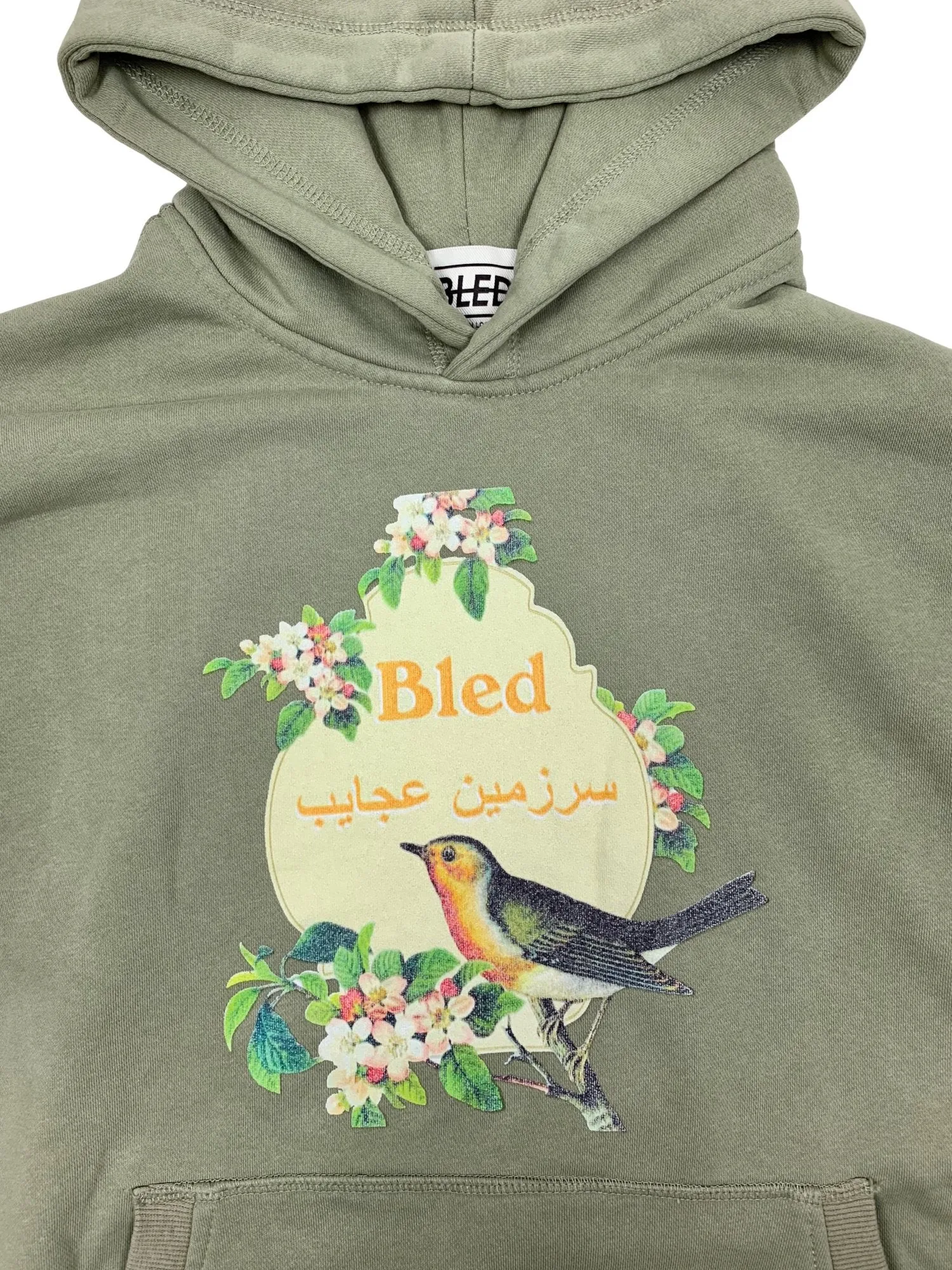 Stonewashed Farsi Wonderland Hoodie - Olive