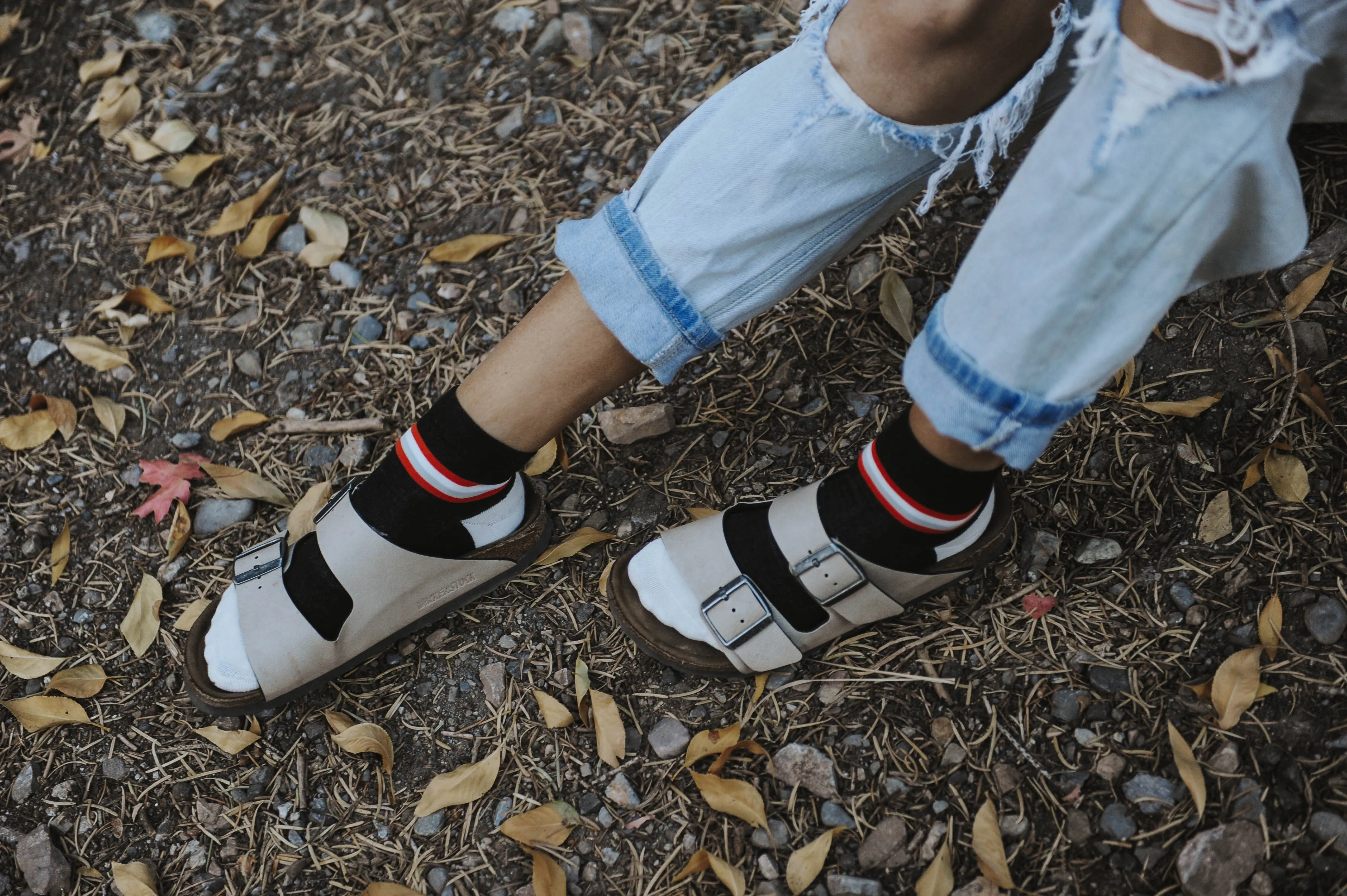 Tiger Lily Retro Stripe Shorty