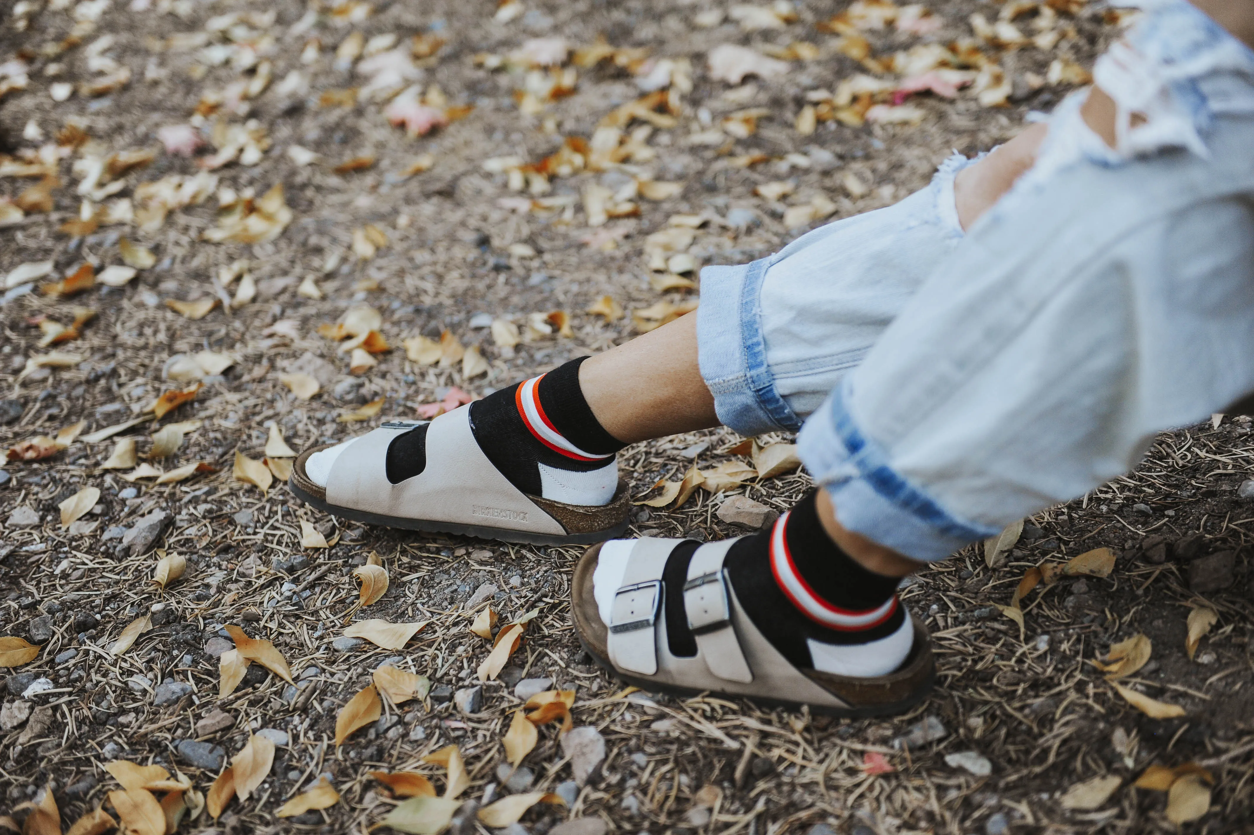 Tiger Lily Retro Stripe Shorty
