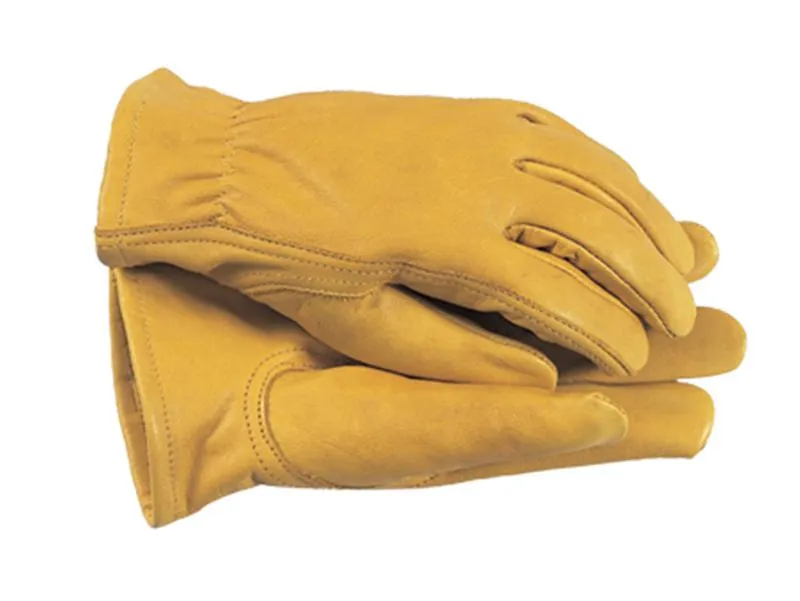 Town & Country Tgl105S Premium Leather Gloves Ladies' - Small