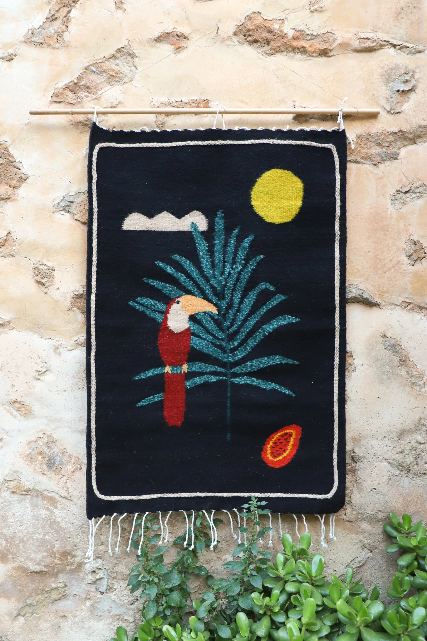 Tucán en Vela/Sleepless Toucan