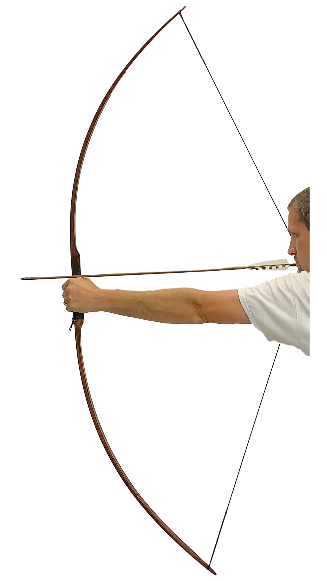 Woodlands Longbow